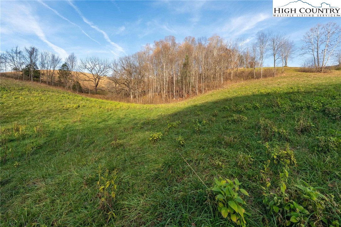 Lot 18 Silver Oak Road Butler, TN 37640 - Photo 26 of 42 a view of a yard with large trees