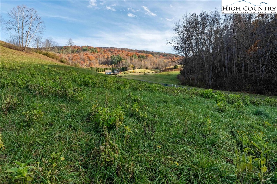 Lot 18 Silver Oak Road Butler, TN 37640 - Photo 27 of 42 a view of outdoor space and yard