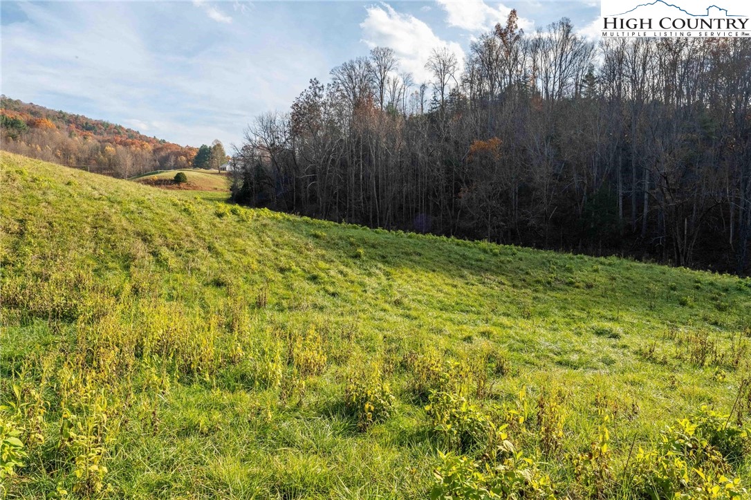 Lot 18 Silver Oak Road Butler, TN 37640 - Photo 28 of 42 a view of a yard