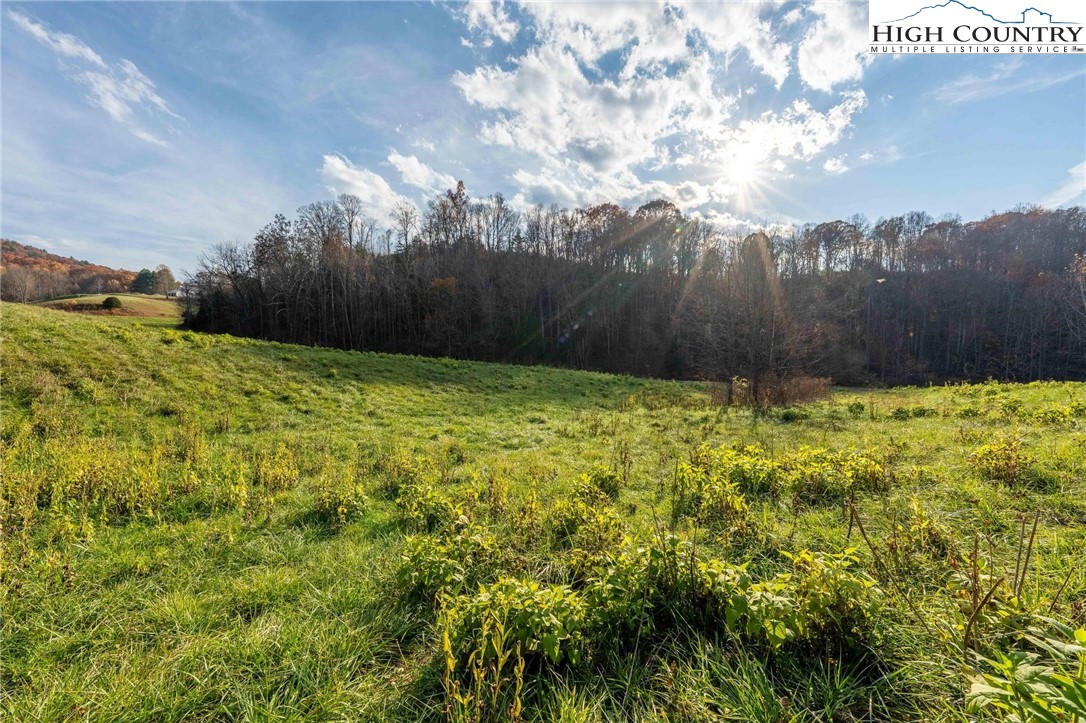 Lot 18 Silver Oak Road Butler, TN 37640 - Photo 29 of 42 a view of backyard with garden