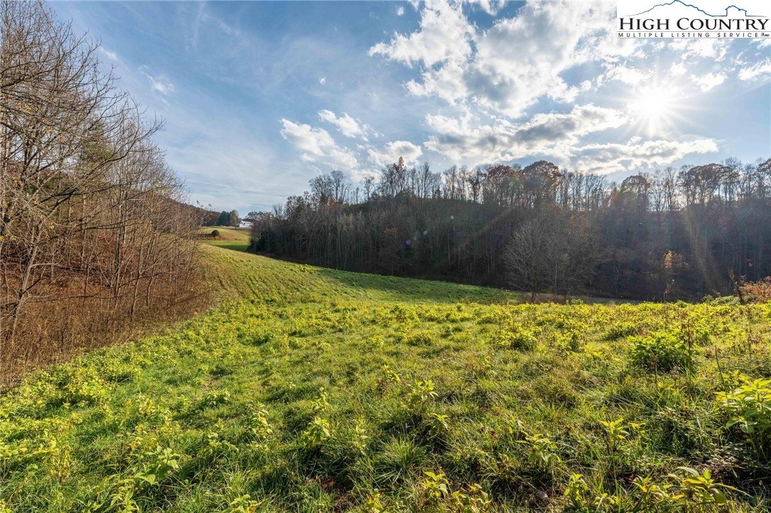 Lot 18 Silver Oak Road Butler, TN 37640 - Photo 30 of 42 a view of swimming pool
