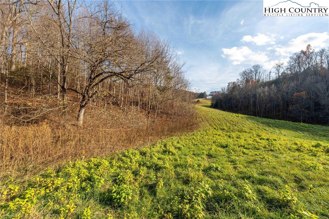 Lot 18 Silver Oak Road Butler, TN 37640 - Photo 31 of 42 a view of backyard with swimming pool