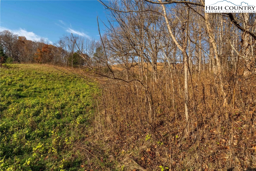 Lot 18 Silver Oak Road Butler, TN 37640 - Photo 32 of 42 a view of a yard with a tree