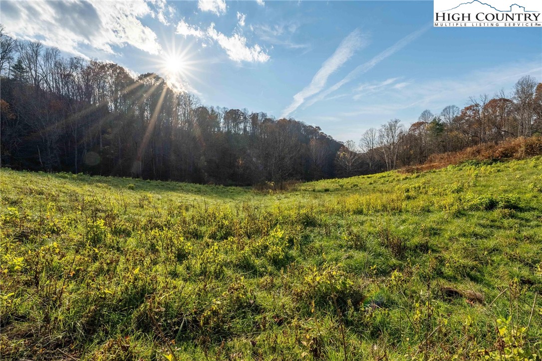 Lot 18 Silver Oak Road Butler, TN 37640 - Photo 33 of 42 a view of tall trees and a yard