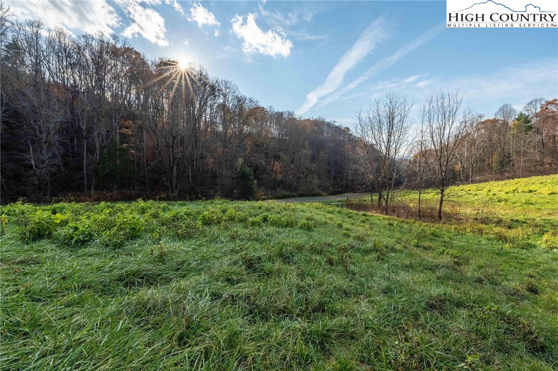 Lot 18 Silver Oak Road Butler, TN 37640 - Photo 34 of 42 a view of backyard with green space