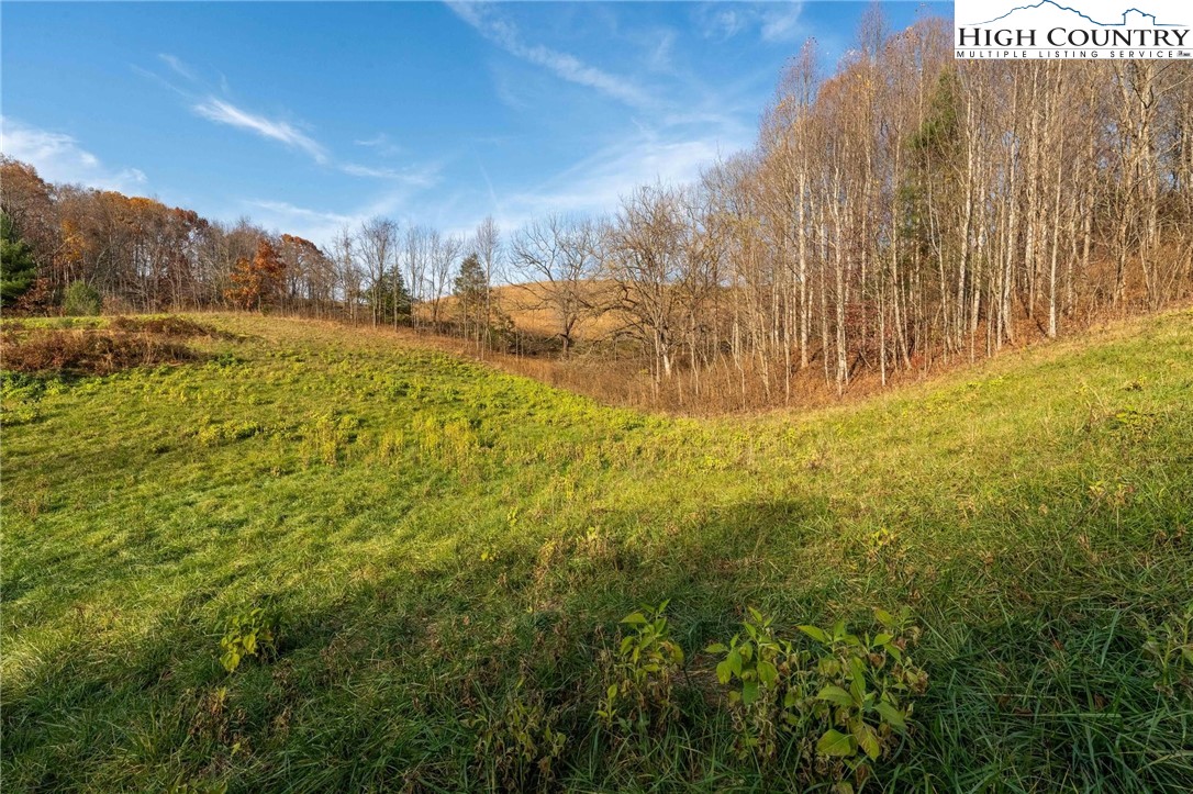 Lot 18 Silver Oak Road Butler, TN 37640 - Photo 35 of 42 a view of yard with large tree