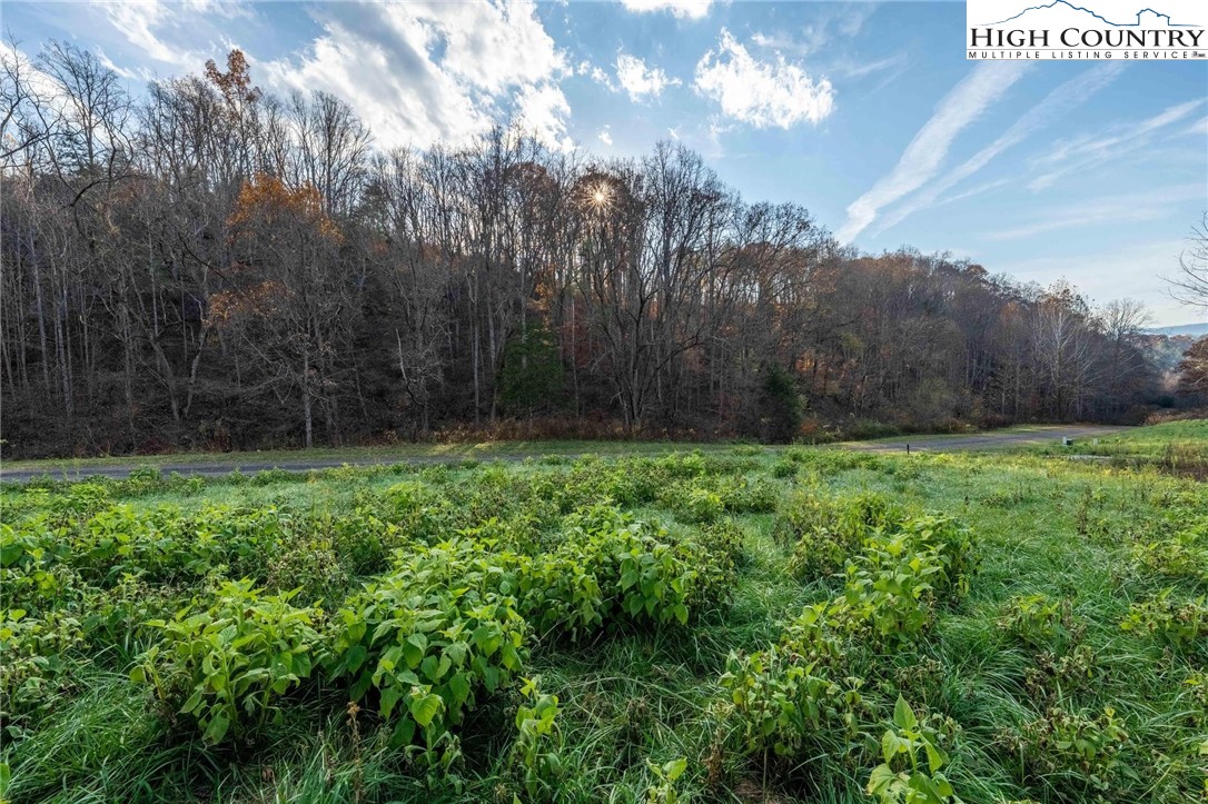 Lot 18 Silver Oak Road Butler, TN 37640 - Photo 36 of 42 a view of yard with green space
