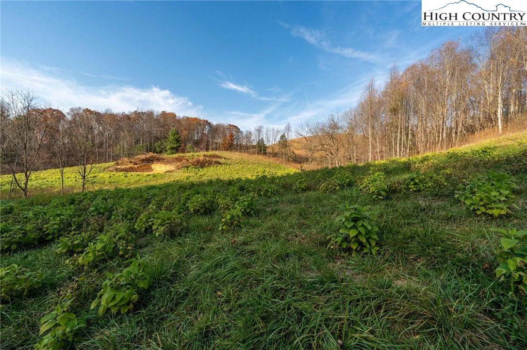 Lot 18 Silver Oak Road Butler, TN 37640 - Photo 37 of 42 a view of an outdoor space and a yard