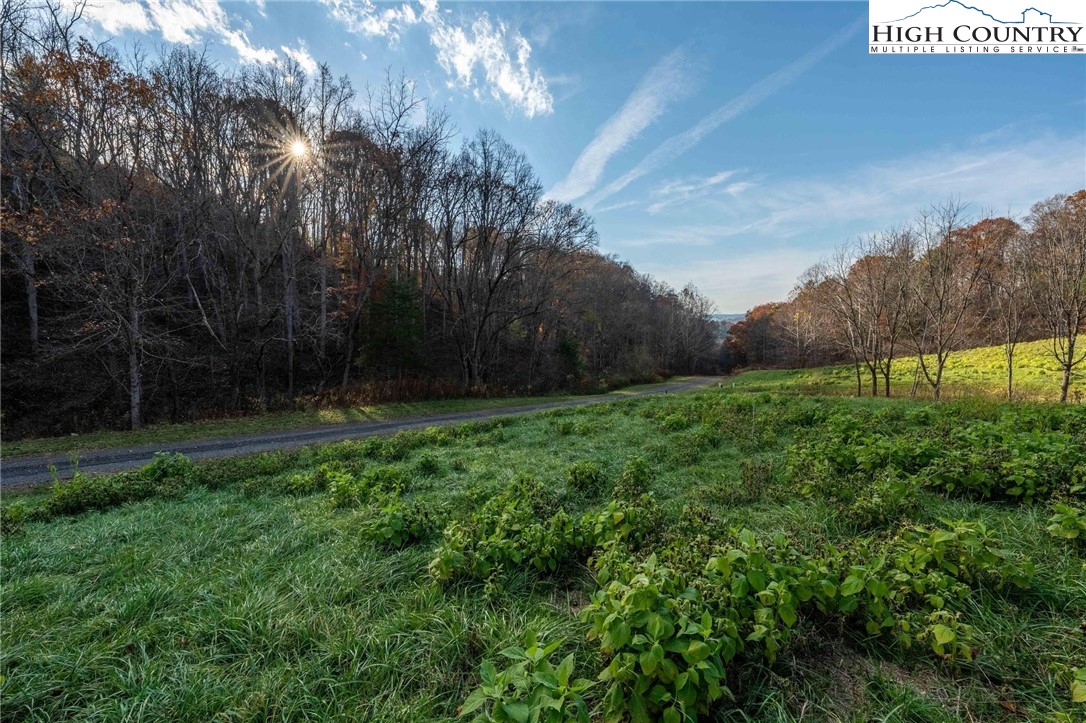 Lot 18 Silver Oak Road Butler, TN 37640 - Photo 38 of 42 a view of backyard with green space