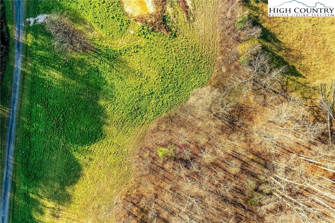 Lot 18 Silver Oak Road Butler, TN 37640 - Photo 4 of 42 a view of a garden