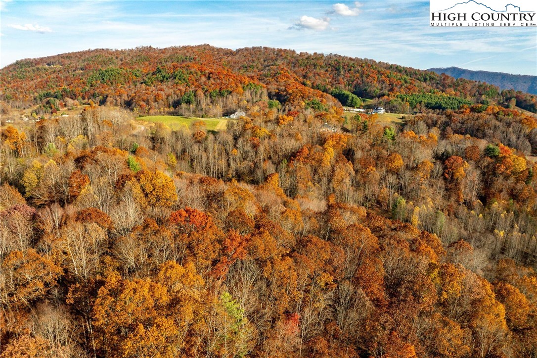 Lot 18 Silver Oak Road Butler, TN 37640 - Photo 8 of 42 a view of a city