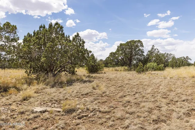 $14,000 | 911 South Wedgewood Drive, Williams, AZ 86046