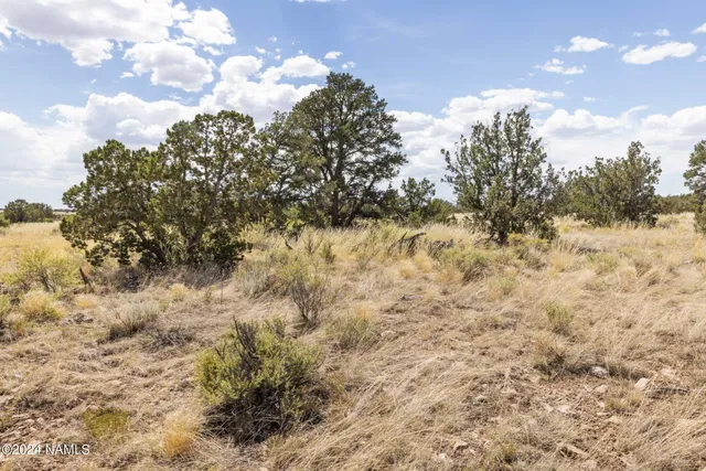 $14,000 | 911 South Wedgewood Drive, Williams, AZ 86046