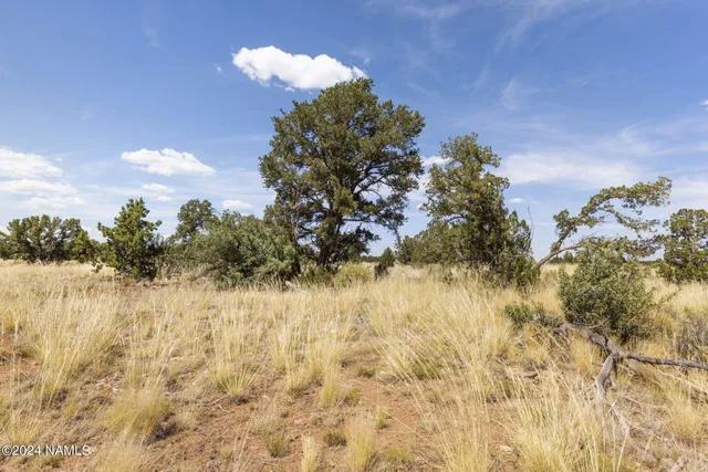 $14,000 | 911 South Wedgewood Drive, Williams, AZ 86046