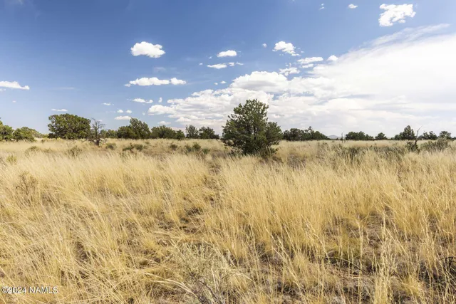 $14,000 | 911 South Wedgewood Drive, Williams, AZ 86046