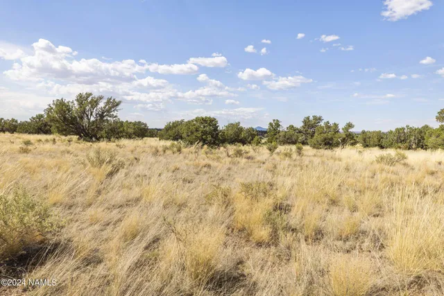 $14,000 | 911 South Wedgewood Drive, Williams, AZ 86046