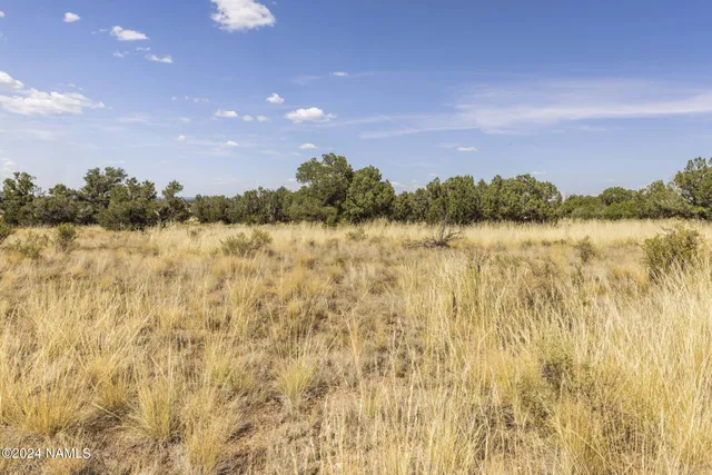 $14,000 | 911 South Wedgewood Drive, Williams, AZ 86046