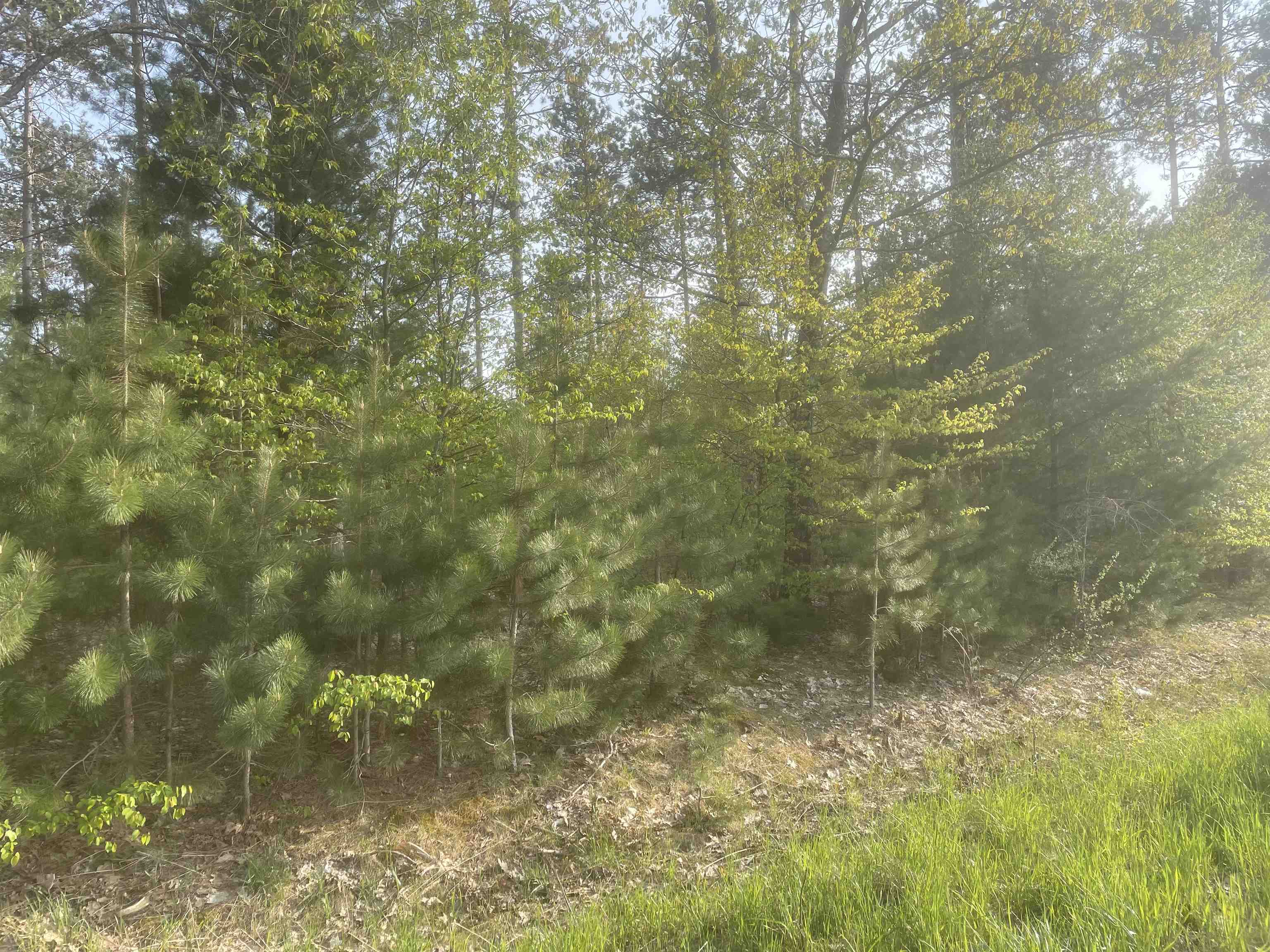 Lot I Lot I Riley, Unit LOT: I Interlochen, MI 49643 - Photo 2 of 5