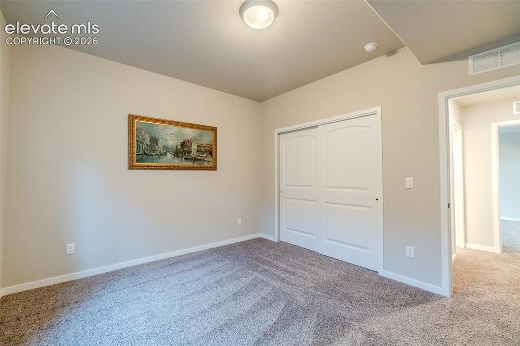 1061 Native Dancer Terrace Colorado Springs, CO 80921 - Photo 47 of 50 Carpeted room featuring neutral wall tones, white baseboards, and a flush mount ceiling light fixture