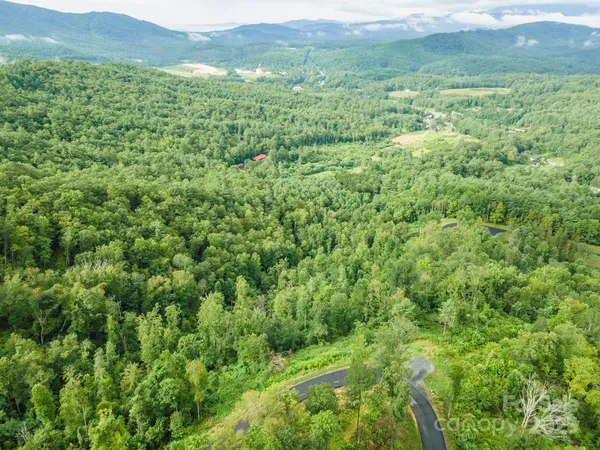 a view of a lush green outdoor space with a mountain view