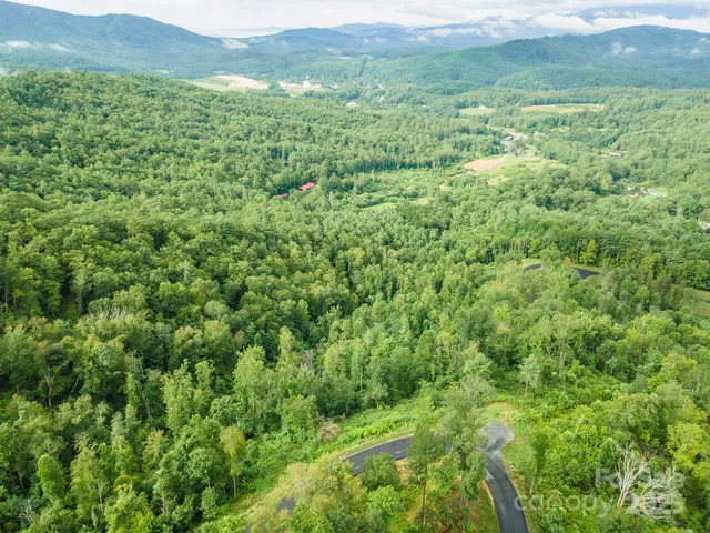 a view of a lush green outdoor space with a mountain view