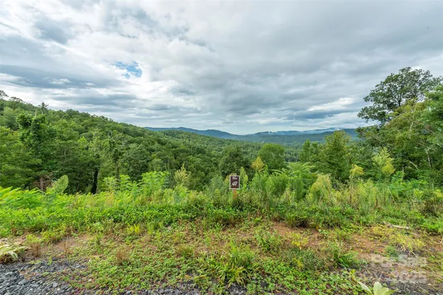 a view of a lush green space