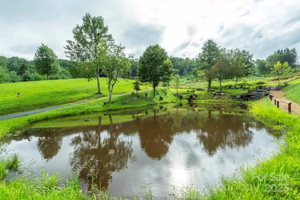 a view of a lake with a yard and large trees