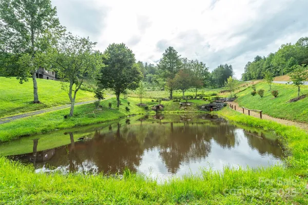 a view of a lake with a yard and large trees