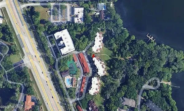 a view of a yard with plants and trees