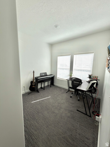 327 West Main Street, Unit 14 Santaquin, UT 84655 - Photo 17 of 20 Office space featuring dark carpet and a textured ceiling