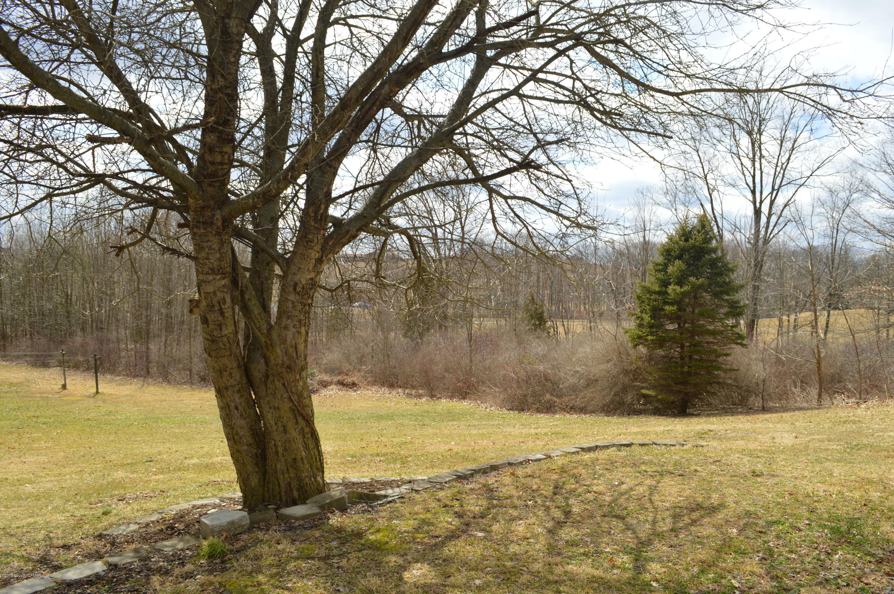 829 Gilbert Road Effort, PA 18330 - Photo 47 of 48 a view of a yard with a tree