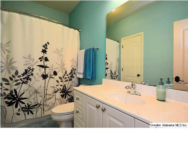 389 Deer Ridge Lane Chelsea, AL 35043 - Photo 16 of 31