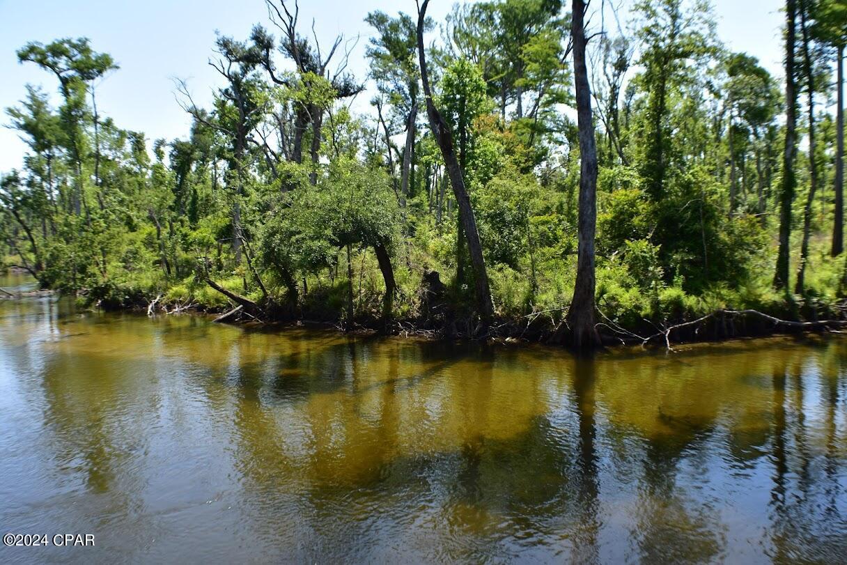 6919 Cat Creek Road Youngstown, FL 32466 - Photo 11 of 24