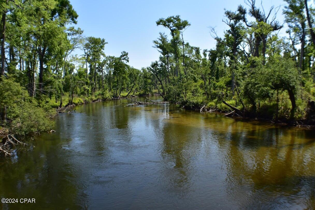 6919 Cat Creek Road Youngstown, FL 32466 - Photo 12 of 24