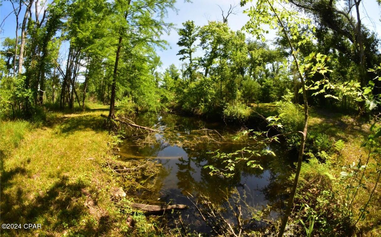 6919 Cat Creek Road Youngstown, FL 32466 - Photo 15 of 24