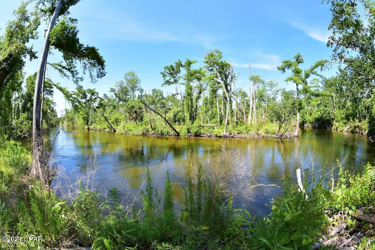 6919 Cat Creek Road Youngstown, FL 32466 - Photo 3 of 24