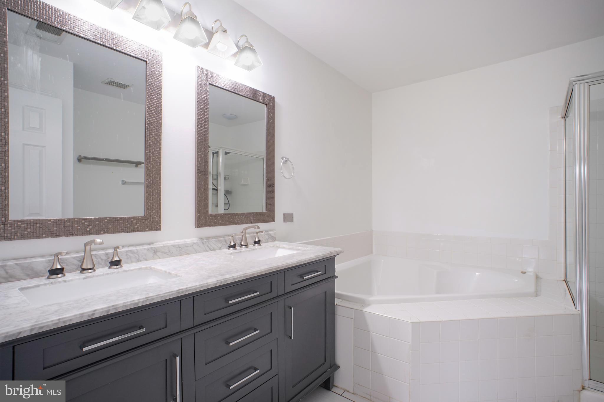 46675 Cavendish Square Sterling, VA 20165 - Photo 25 of 35 3rd Floor Master Bath