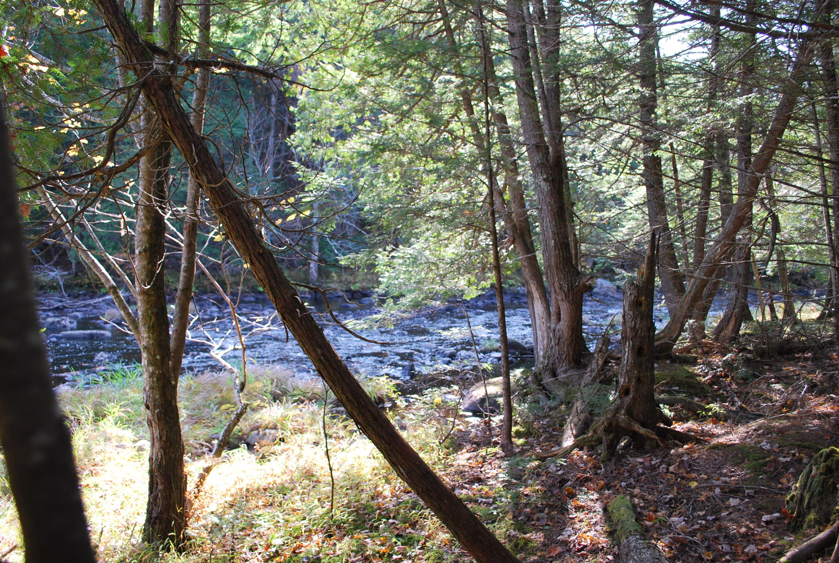 Lot 38-41 Castle Road Harmony, ME 04942 - Photo 30 of 38 Haskell Fall Pics 010