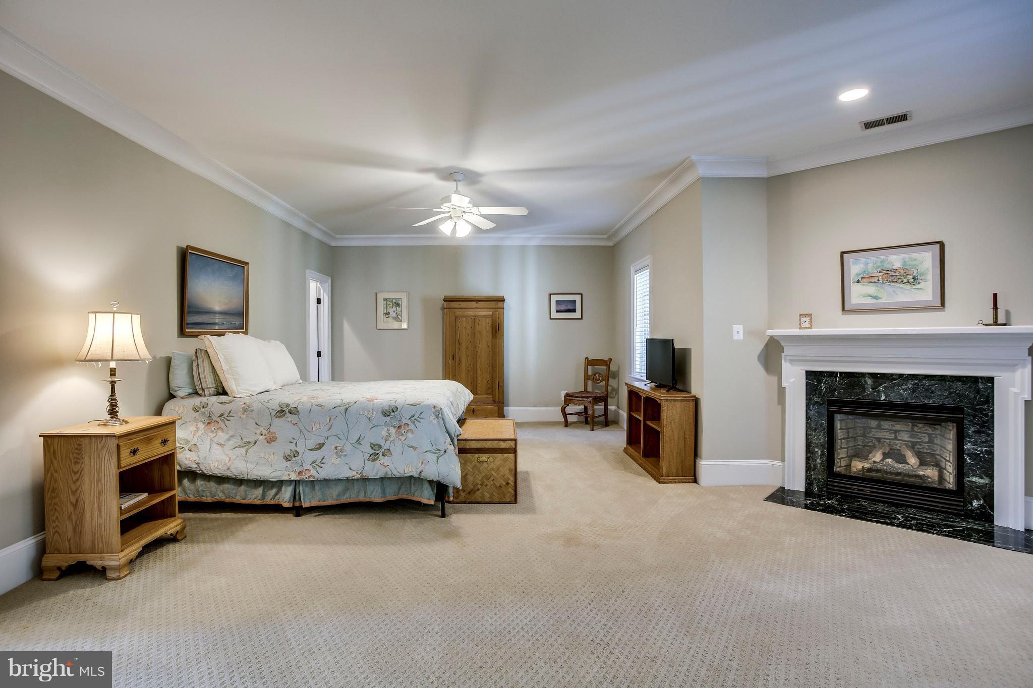 1040 Springvale Road Great Falls, VA 22066 - Photo 14 of 38 Expansive Owner's Retreat