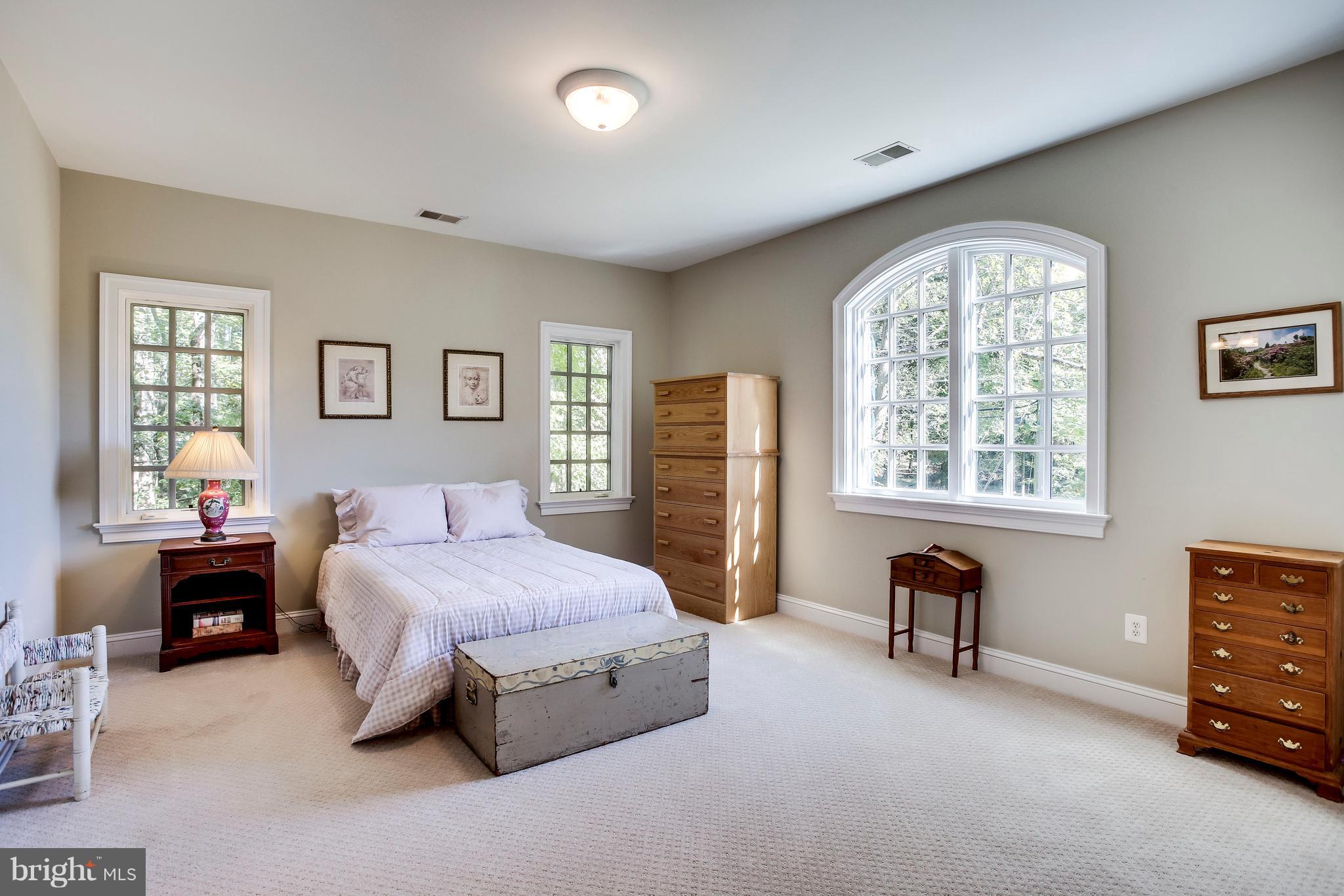 1040 Springvale Road Great Falls, VA 22066 - Photo 22 of 38 Loads of natural light in large BR 3