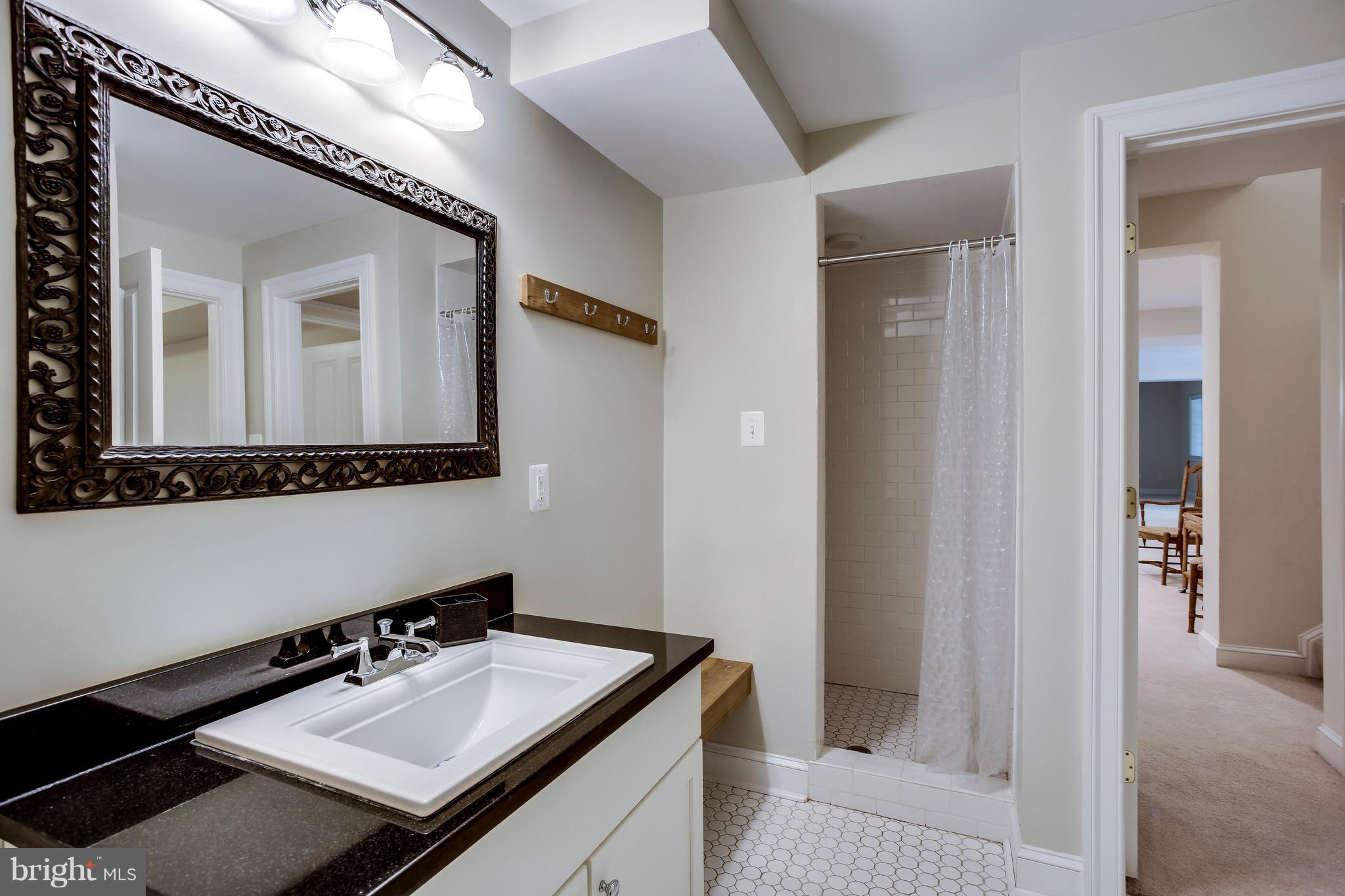 1040 Springvale Road Great Falls, VA 22066 - Photo 30 of 38 Full bath on the lower level