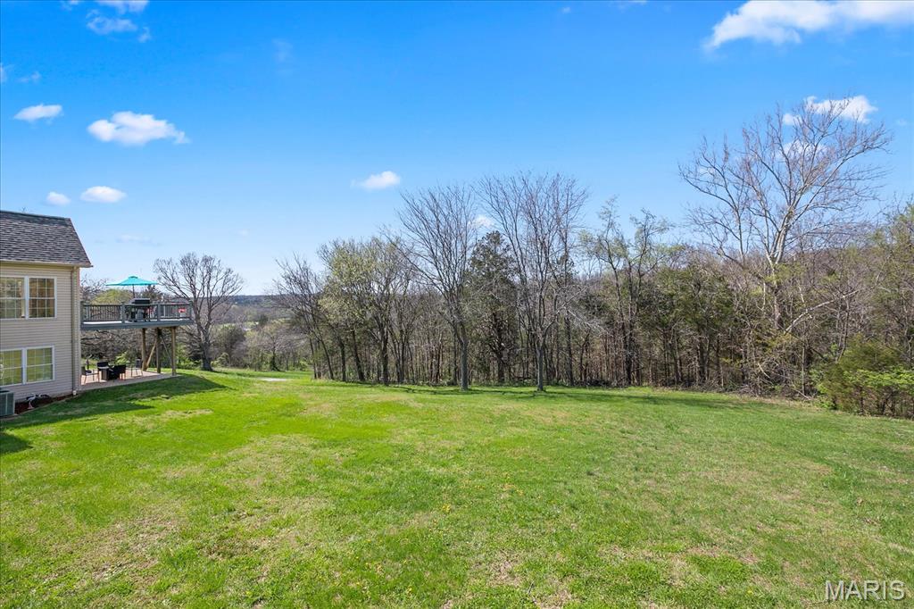 1 Pelham Point Festus, MO 63028 - Photo 63 of 66