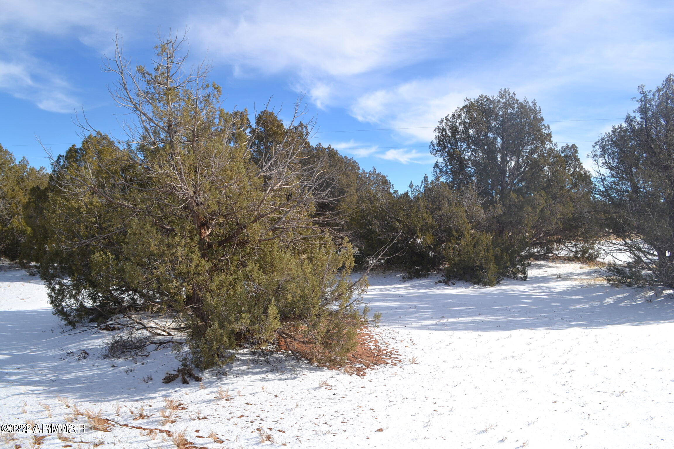 4401 Clydesdale Road, Unit 1 Snowflake, AZ 85937 - Photo 5 of 12 A10A4F0353AF4EC1