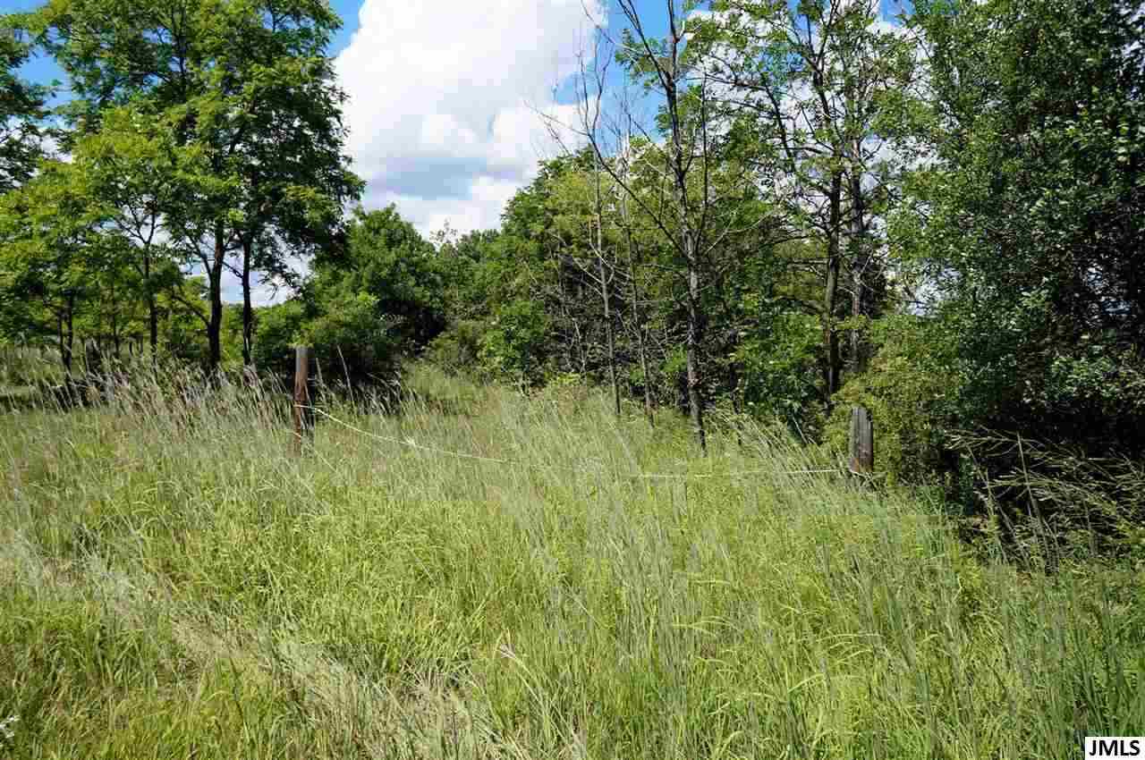 0 Felters Road Jackson, MI 49203 - Photo 2 of 7 Gallery Image 2
