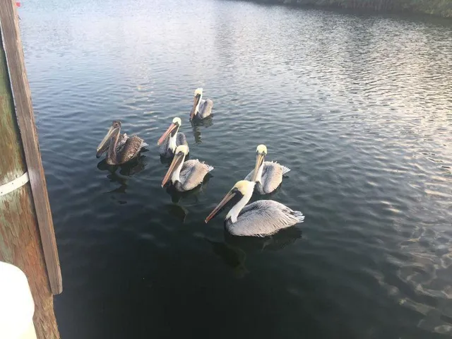 $3,000 | 5159 North Hwy A1A, Unit 311B, Hutchinson Island, FL 34949