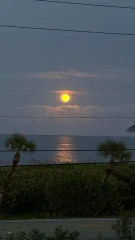 $3,000 | 5159 North Hwy A1A, Unit 311B, Hutchinson Island, FL 34949