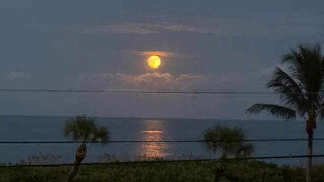 $3,000 | 5159 North Hwy A1A, Unit 311B, Hutchinson Island, FL 34949