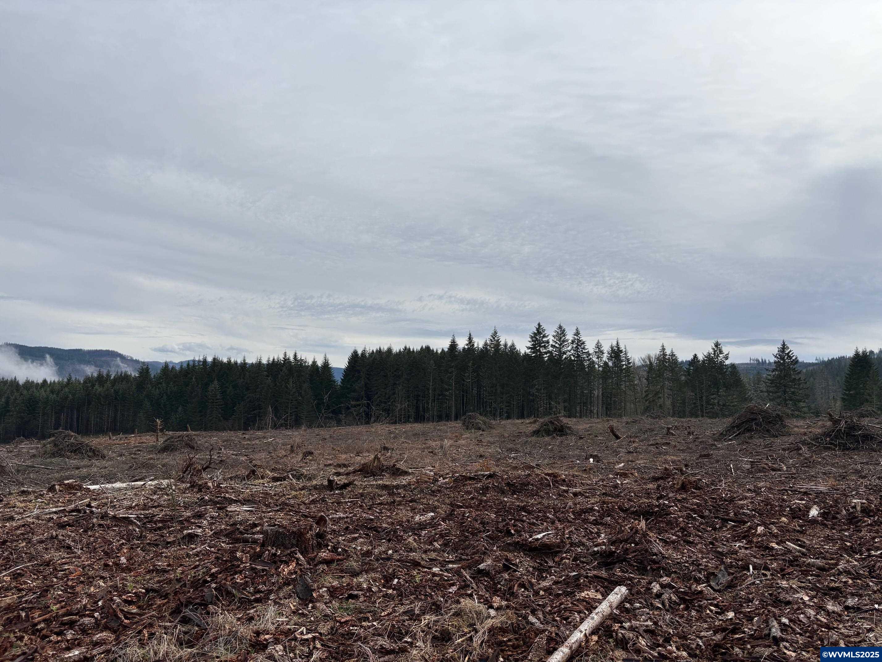 0 South Hardy Road Molalla, OR 97038 - Photo 6 of 26