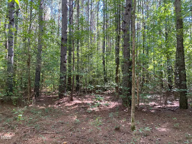 $20,000 | 0 Collins Road, Norlina, NC 27563