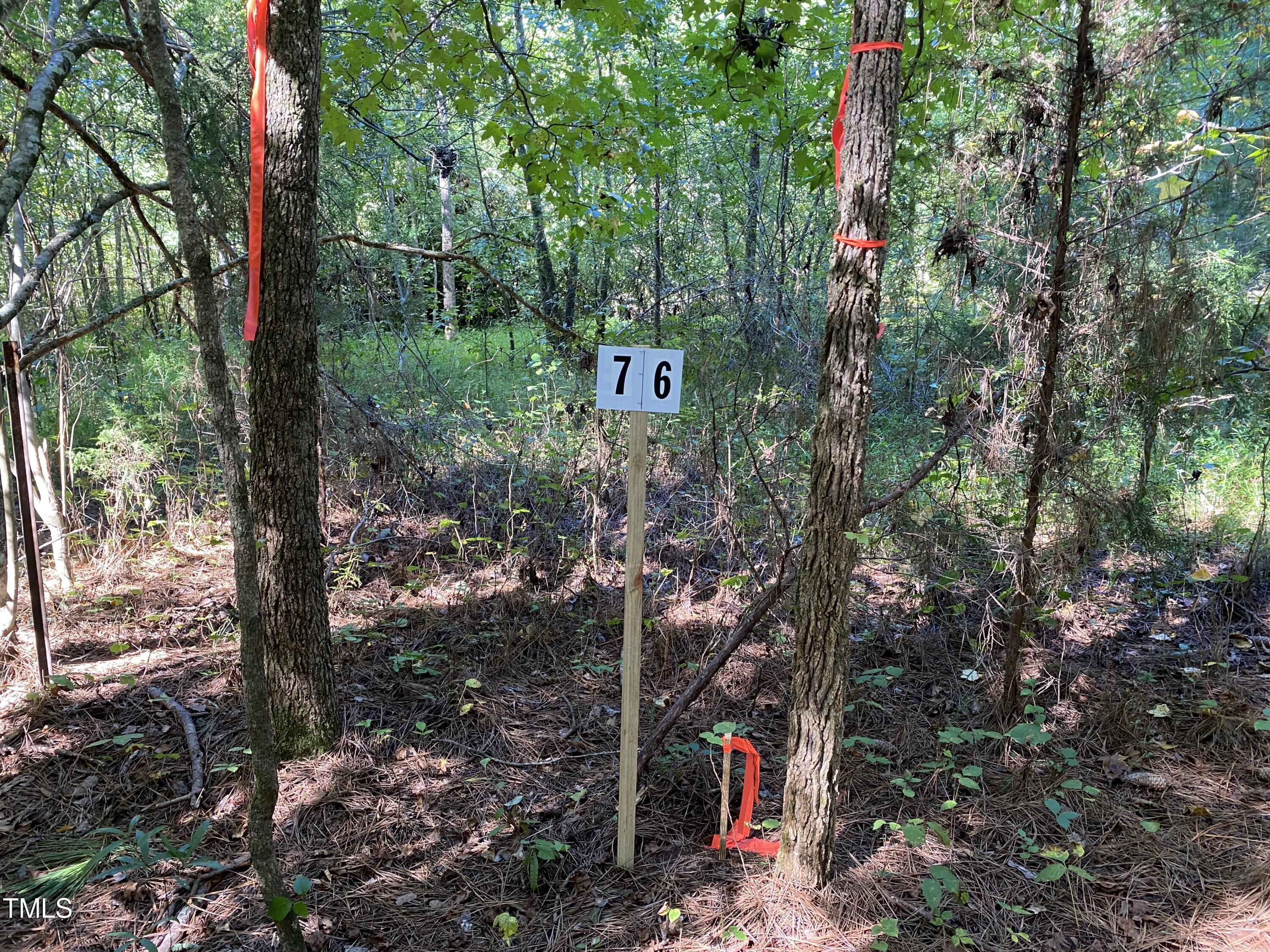 0 Collins Road Norlina, NC 27563 - Photo 12 of 17 IMG_7145